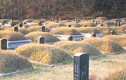 [위령성월 특집] 신자의식 조사 - 화장·장묘, 어떻게 생각하십니까?